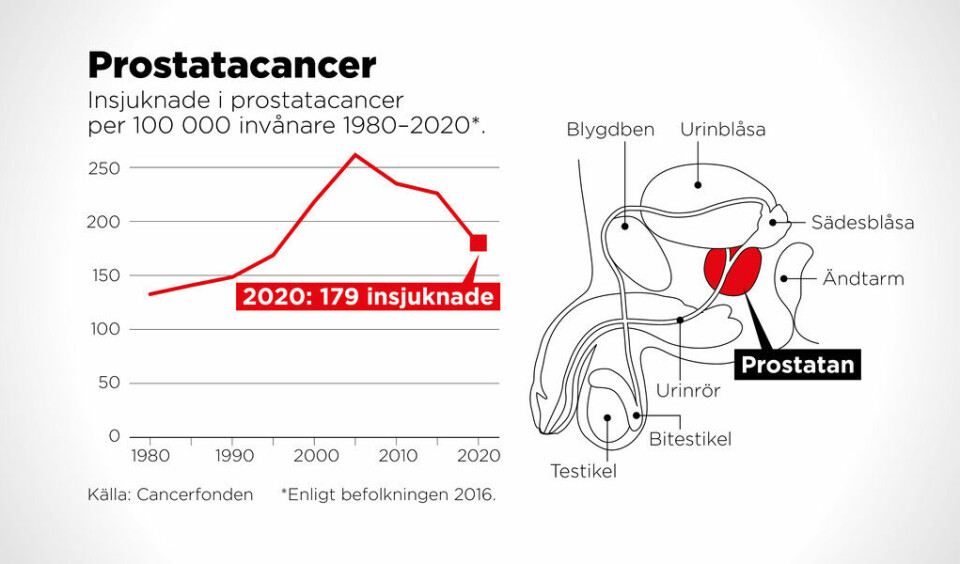 Insjuknade i prostatacancer per 100 000 invånare 1980–2020. Foto: Johan Hallnäs/TT
