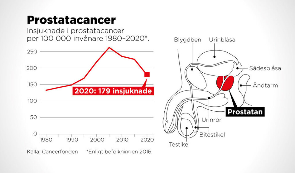 Insjuknade i prostatacancer per 100 000 invånare 1980–2020. Foto: Johan Hallnäs/TT Insjuknade i prostatacancer per 100 000 invånare 1980–2020. Foto: Johan Hallnäs/TT