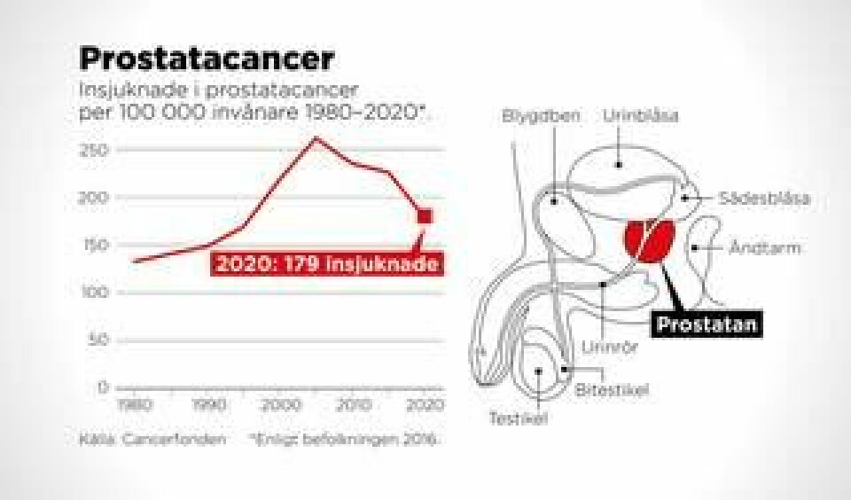 Insjuknade i prostatacancer per 100 000 invånare 1980–2020. Foto: Johan Hallnäs/TT