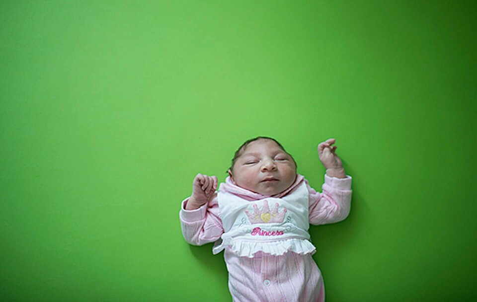 Sophia, två veckor gammal, föddes med mikrocefali, i Brasilien. Foto: Felipe Dana / TT