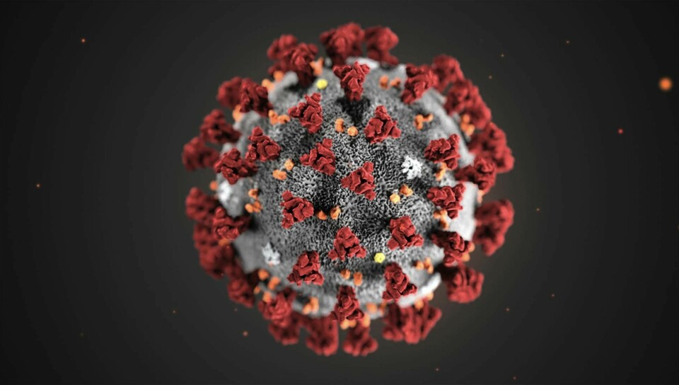 Coronaviruset förändrar sig, muterar, hela tiden.
Foto: CDC/TT