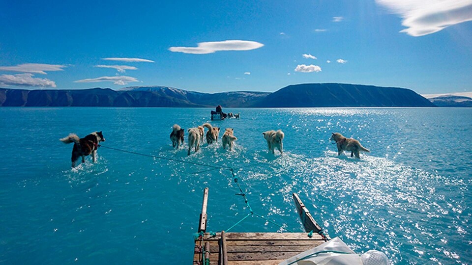 Två hundspannsekipage som färdas över en is ... av vatten. Ett fotografi från nordvästra Grönland, där forskaren Steffen Olsen kämpar sig över en is täckt av flera centimeter klarblått vatten. Foto: Steffen M. Olsen/AP/TT Två hundspannsekipage som färdas över en is ... av vatten. Ett fotografi från nordvästra Grönland, där forskaren Steffen Olsen kämpar sig över en is täckt av flera centimeter klarblått vatten. Foto: Steffen M. Olsen/AP/TT
