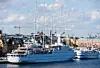 5 Master Segel Schiff Wind Surf 187 Meter Lang In Palma – PBKINH