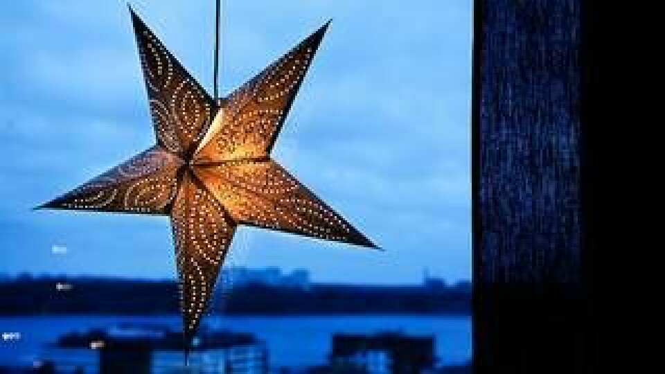 Adventsstjärnan har funnits i Sverige sen 1910-talet. Foto: ANDERS WIKLUND / TT