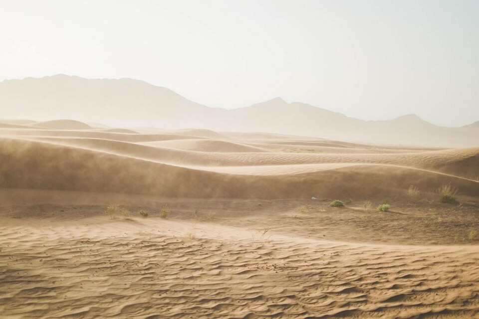 'Våra modellresultat visar att storskaliga sol- och vindkraftsparker i Sahara skulle mer än fördubbla nederbörden, särskilt i Sahel, där nederbörden skulle öka med mellan 20 och 500 millimeter per år', säger studiens huvudförfattare, professor Yan Li vid University of Illinois. Foto: Pixabay 'Våra modellresultat visar att storskaliga sol- och vindkraftsparker i Sahara skulle mer än fördubbla nederbörden, särskilt i Sahel, där nederbörden skulle öka med mellan 20 och 500 millimeter per år', säger studiens huvudförfattare, professor Yan Li vid University of Illinois. Foto: Pixabay