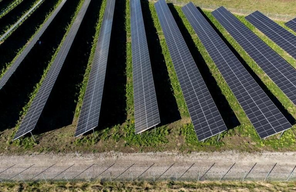 Finska Ilmatar planerar solcellspark i Småland