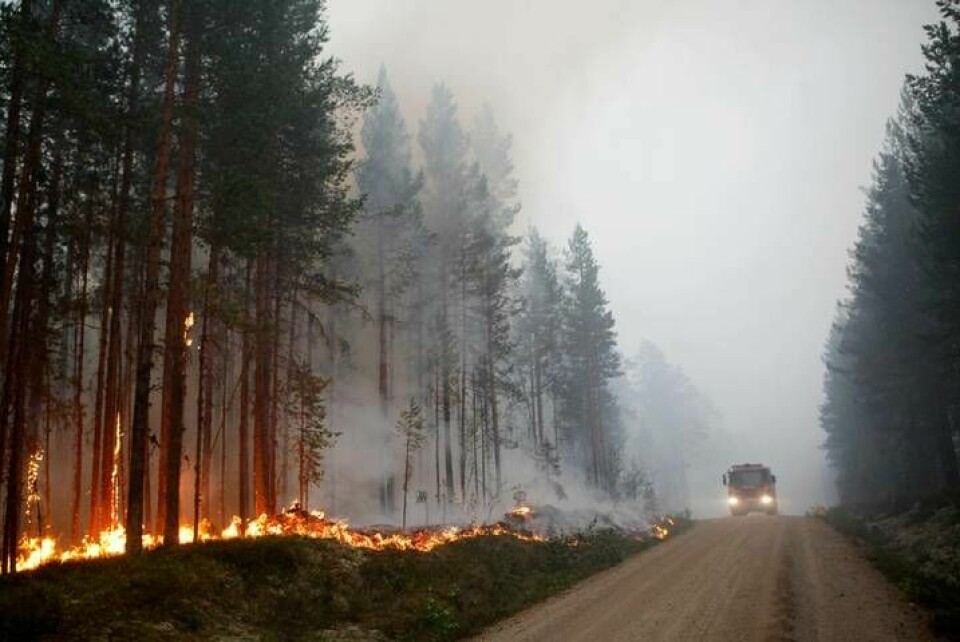 Sommaren 2018 rasade flera svåra skogsbränder i Sverige, som i Ängra utanför Ljusdal.Foto: Mats Andersson/TT Foto: Mats Andersson/TT