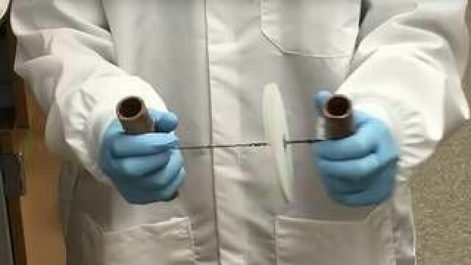 Centrifugen ser ut som leksakssnurra, och är tillverkad av två papperscirklar med ett litet hål i. Bild ur Nature Biomedical Engineerings webbfilm. Foto: Nature Biomedical Engineering