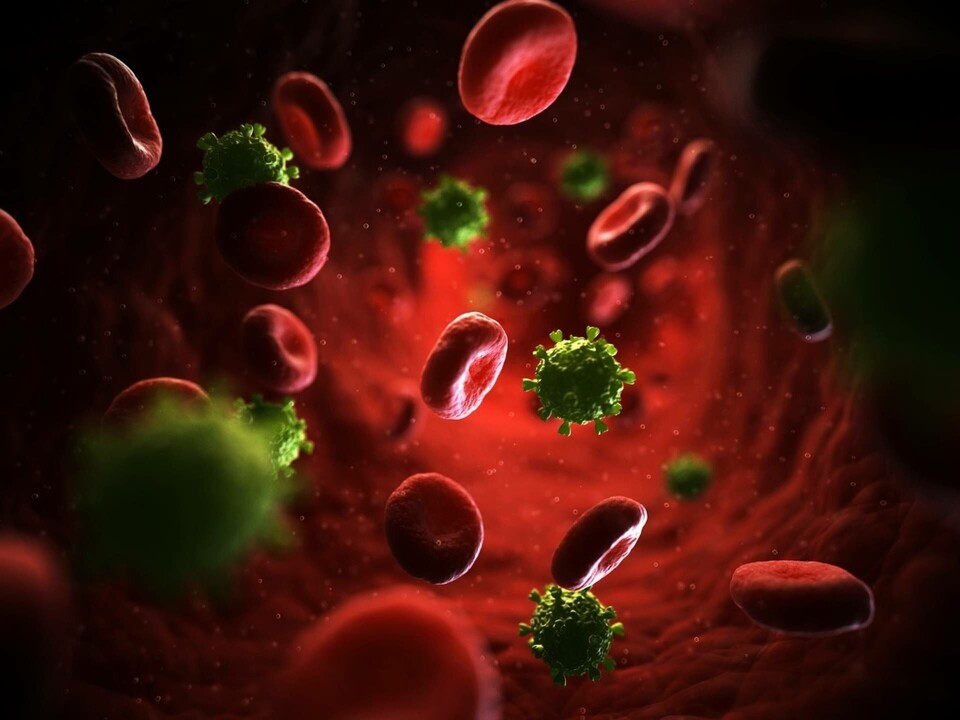 Illustration av hiv-partiklar i blodet. Foto: Science Photo Library Illustration av hiv-partiklar i blodet. Foto: Science Photo Library