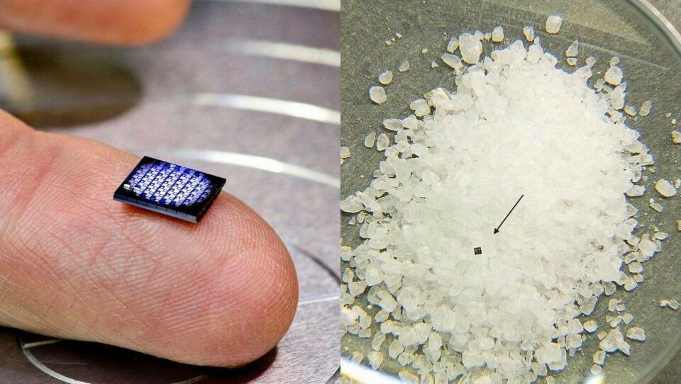 Till vänster en modul med två minimala datorer och 64 moderkort. Till höger en bild på den millimeterstora datorn i en hög med grovkorniga saltkorn. Foto: IBM via Mashable Till vänster en modul med två minimala datorer och 64 moderkort. Till höger en bild på den millimeterstora datorn i en hög med grovkorniga saltkorn. Foto: IBM via Mashable