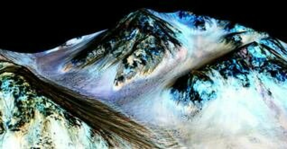Nasas bild från 2015 när det för första gången kunde visas att det finns vatten i flytande form på Mars. De mörka linjerna är bäckfåror. Foto: Nasa