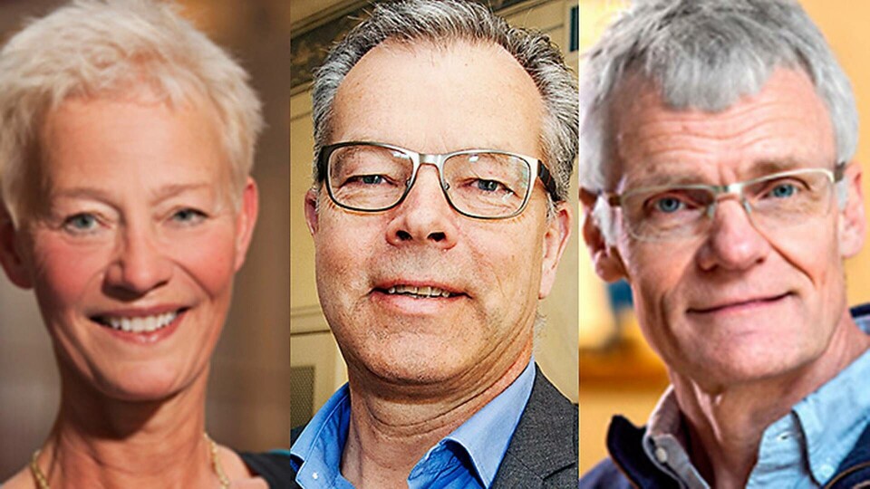 Anna Wahl, professor i Genus, organisation och ledning på KTH, Peter Gudmundson, rektor på KTH och Gustav Amberg, vicerektor för jämställdhet på KTH. Foto: KTH, Jörgen Appelgren Anna Wahl, professor i Genus, organisation och ledning på KTH, Peter Gudmundson, rektor på KTH och Gustav Amberg, vicerektor för jämställdhet på KTH. Foto: KTH, Jörgen Appelgren