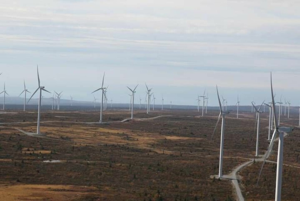 Blaiken vindkraftpark omfattar 99 vindkraftverk.