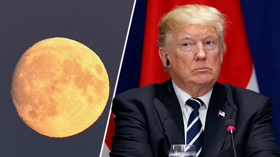 USA:s president Donald Trump. Foto: TT USA:s president Donald Trump. Foto: TT