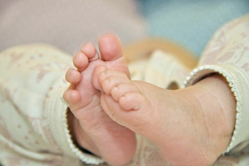 Ett 27-år gammalt embryo har efter lyckad IVF-behandling resulterat i ett nyfött barn. Genrebild. Foto: Gustav Sjöholm/TT