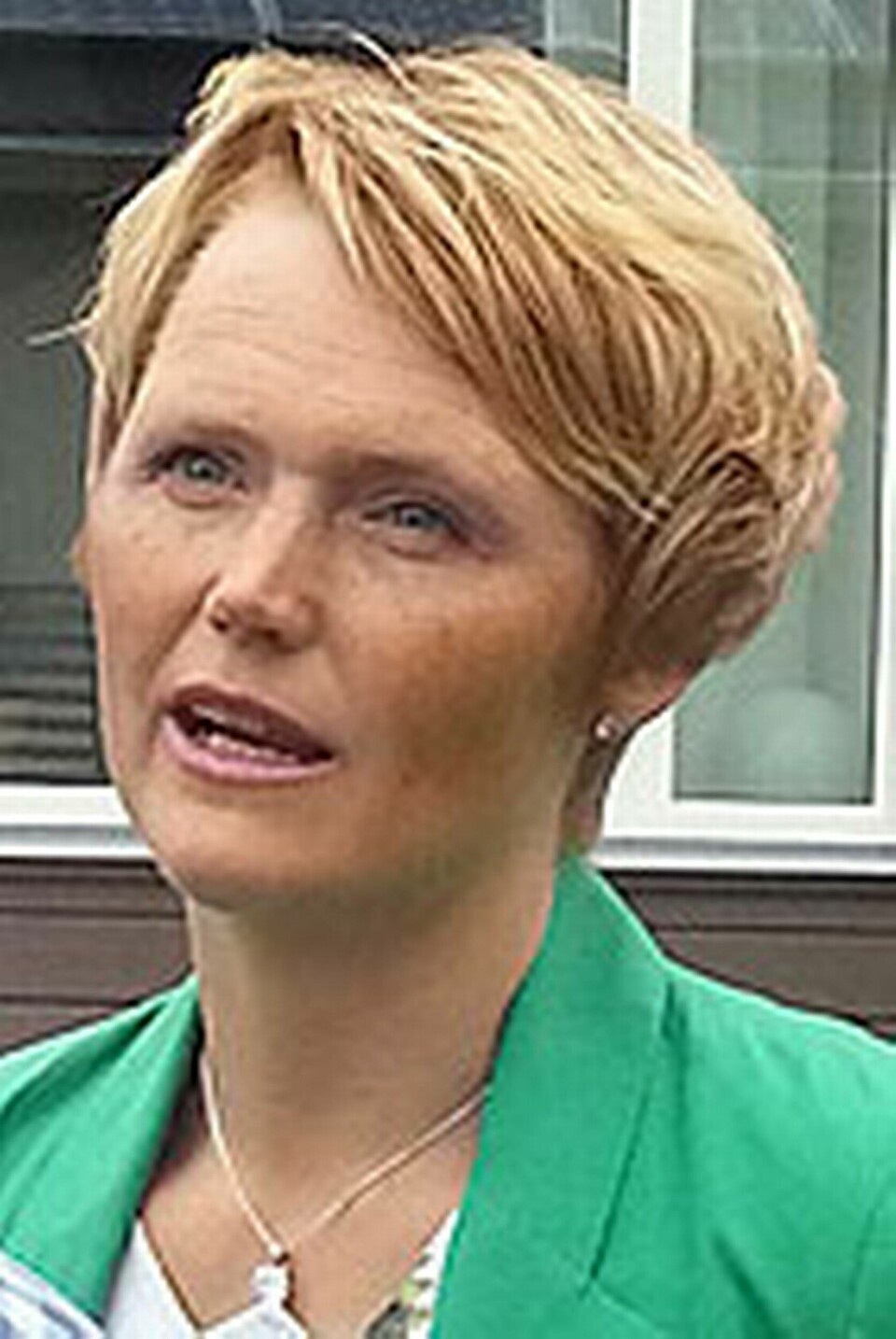 It- och energiminister Anna-Karin Hatt. Foto: Charlotta von Schultz