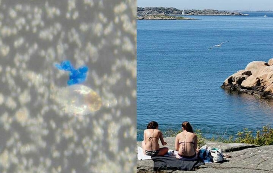 De blå partiklarna förekommer utanför Bohuskusten. Foto: IVL / Adam Ihse /TT