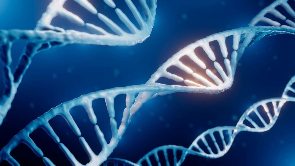 Illustration av dna-molekyl. Foto: Science Photo Library Illustration av dna-molekyl. Foto: Science Photo Library