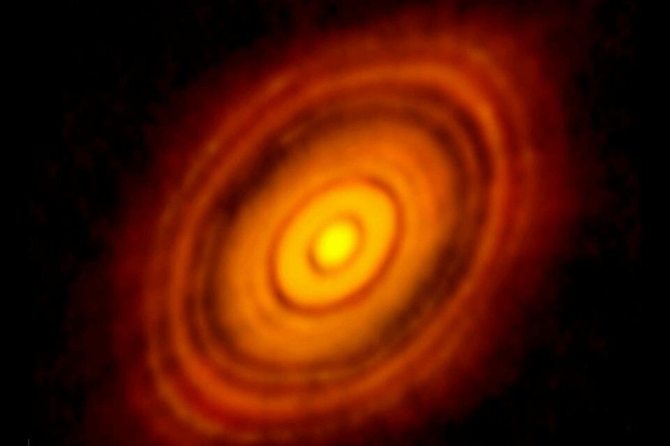 Forskare har fångat födelsen av planeter runt stjärnan HL Tau på bild. Foto: C. Brogan, B. Saxton (NRAO/AUI/NSF)