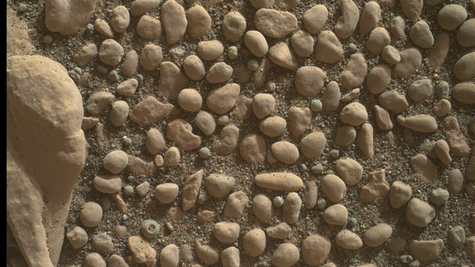 Foto taget på planeten Mars. Foto: NASA/JPL-Caltech/MSSS