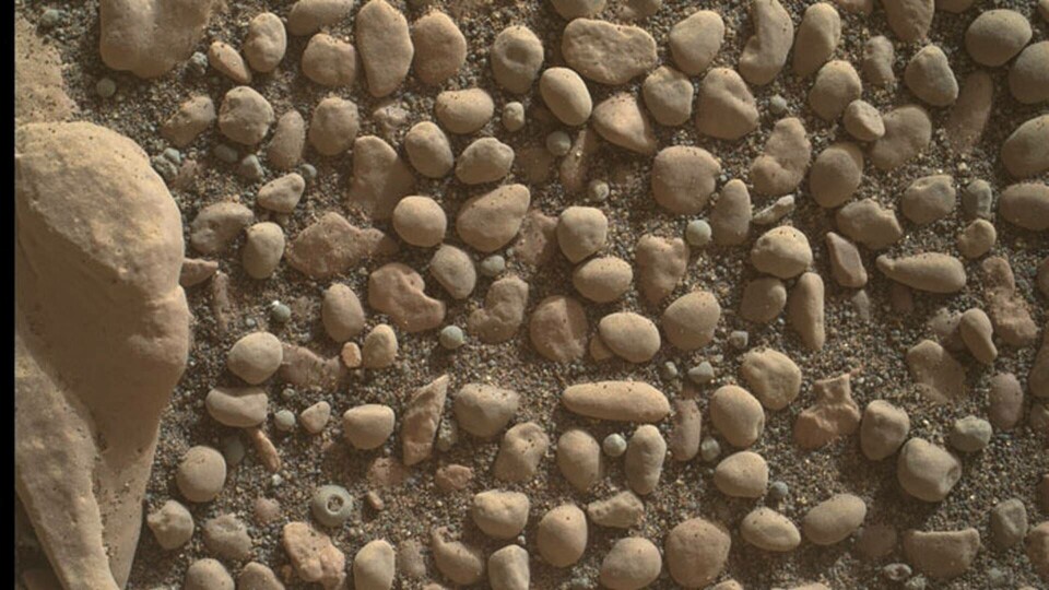 Foto taget på planeten Mars. Foto: NASA/JPL-Caltech/MSSS Foto taget på planeten Mars. Foto: NASA/JPL-Caltech/MSSS