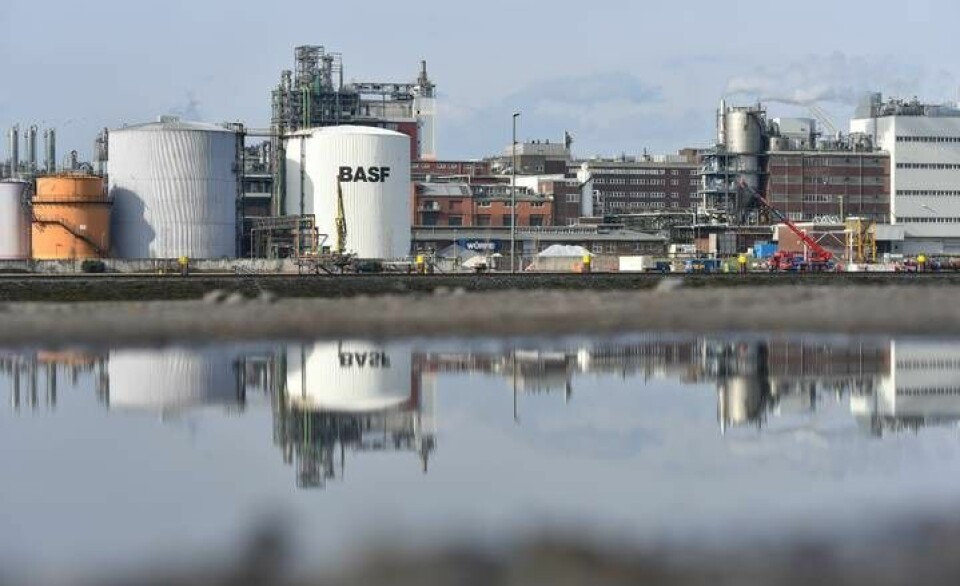BASF är en tysk kemikoncern och världens största kemitillverkare. Anläggningen i Ludwigshafen är företagets största. Foto: Uwe Anspach/AP/TT