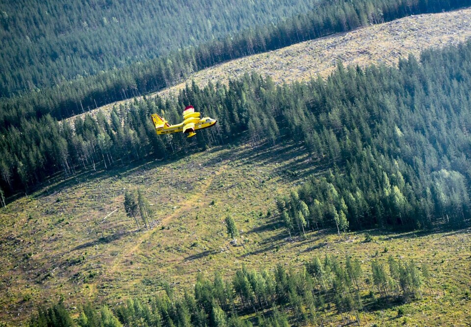 Ett italienskt brandflygplan i arbetet med att bekämpa den omfattande skogsbranden utanför Ljusdal under sommaren 2018. Foto: Maja Suslin/TT