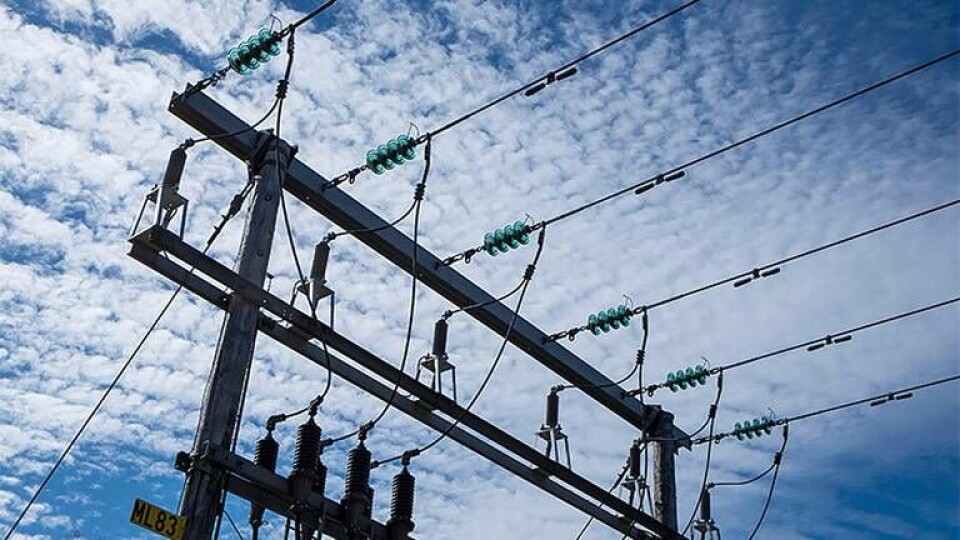 Foto: Alamy Foto: Alamy