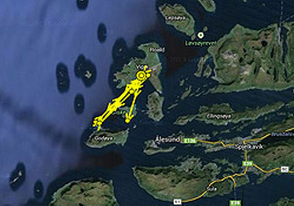 Rekning inför höstflytt? Foto: Nordens Ark Rekning inför höstflytt? Foto: Nordens Ark