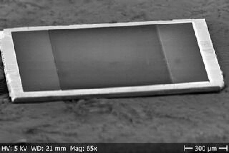 Smoltek har gjort världens minsta kondensator. Foto: Smoltek