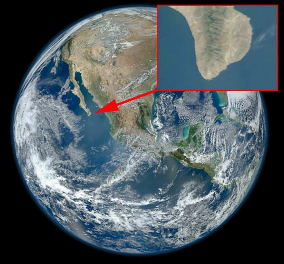 Satellitbilden av jorden med en inzoomning mot sydspetsen av mexikanska Baja California. Foto: NASA