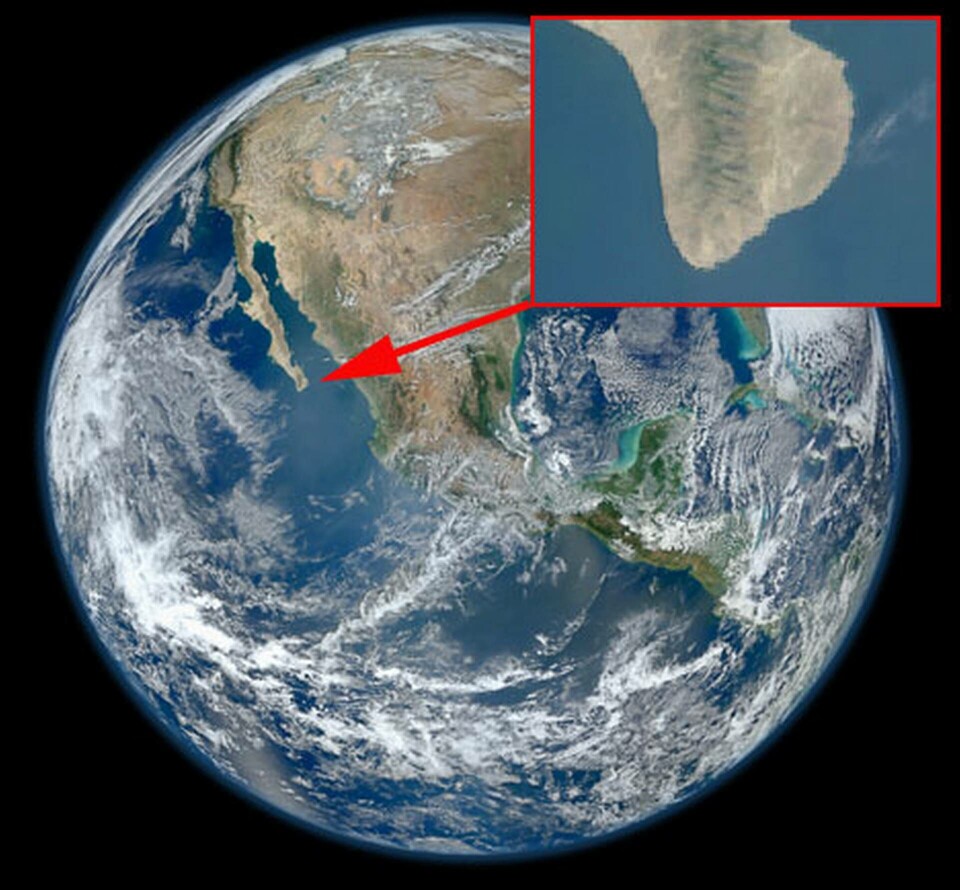 Satellitbilden av jorden med en inzoomning mot sydspetsen av mexikanska Baja California. Foto: NASA Satellitbilden av jorden med en inzoomning mot sydspetsen av mexikanska Baja California. Foto: NASA