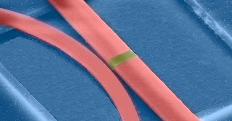 Bandet är ett material som byter fas när det utsätts för en ljuspuls. Foto: University of Oxford Bandet är ett material som byter fas när det utsätts för en ljuspuls. Foto: University of Oxford