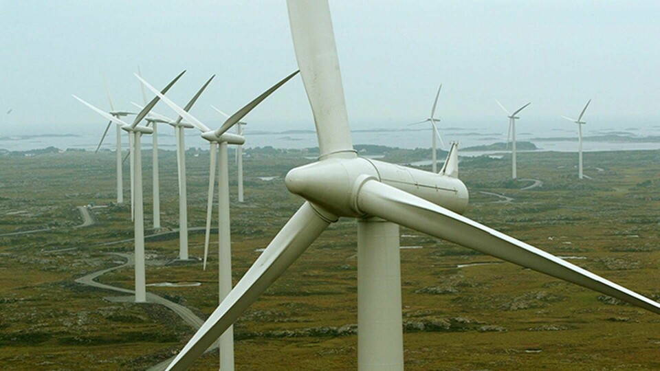 Inom två decennier kan vindkraftsindustrin blomma ut i en biljonindustri, tror IEA. Foto: TT