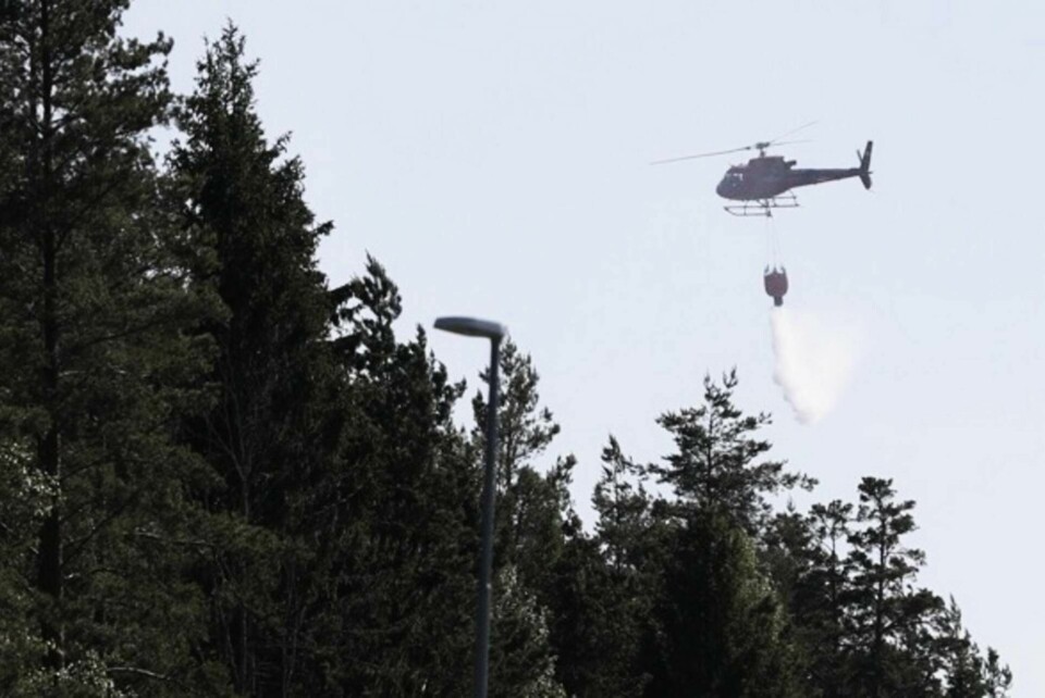 MSB varnar för skogsbränder och uppmanar allmänhet att vara försiktig i skog mark. Arkivbild från en markbrand i närheten av Arlanda flygplats i fjol. Foto: Fredrik Persson/TT