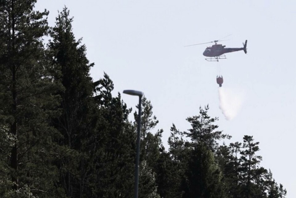 MSB varnar för skogsbränder och uppmanar allmänhet att vara försiktig i skog mark. Arkivbild från en markbrand i närheten av Arlanda flygplats i fjol. Foto: Fredrik Persson/TT MSB varnar för skogsbränder och uppmanar allmänhet att vara försiktig i skog mark. Arkivbild från en markbrand i närheten av Arlanda flygplats i fjol. Foto: Fredrik Persson/TT