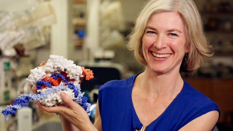 Jennifer Doudna, forskare i molekylärbiologi, med en modell av Crispr-Cas9. Foto: UC Berkeley Jennifer Doudna, forskare i molekylärbiologi, med en modell av Crispr-Cas9. Foto: UC Berkeley