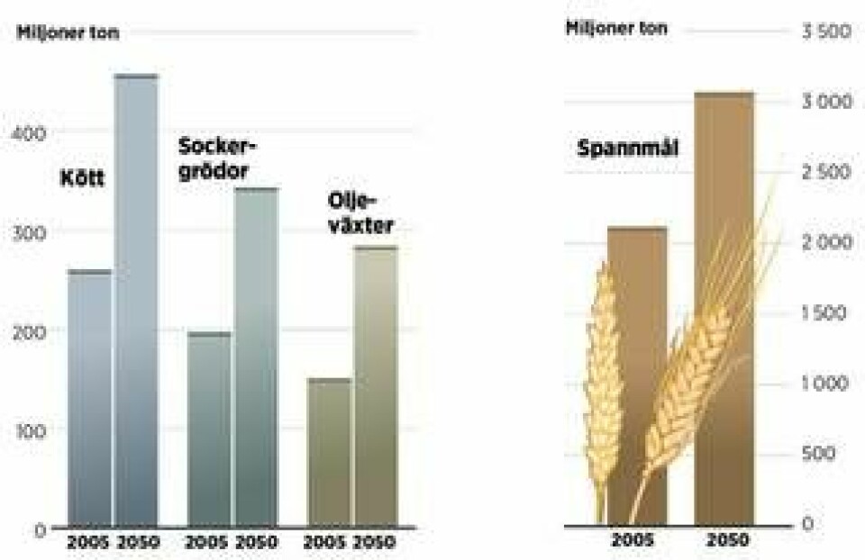 Behovet av spannmål kommer att öka markant till år 2050, enligt FN. Det gäller även andra jordbruksprodukter som kött, sockergrödor och oljeväxter.