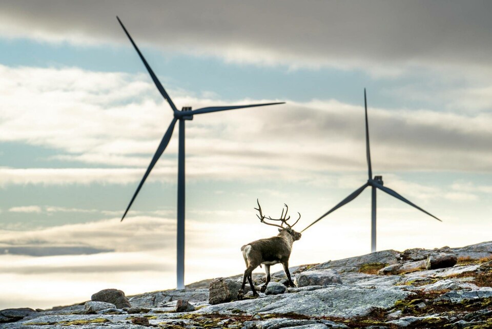 Vindkraftsutbyggnaden har varit störst i norra Sverige. På bilden en norsk vindkraftspark. Arkivbild. Foto: Heiko Junge/NTB/TT Vindkraftsutbyggnaden har varit störst i norra Sverige. På bilden en norsk vindkraftspark. Arkivbild. Foto: Heiko Junge/NTB/TT