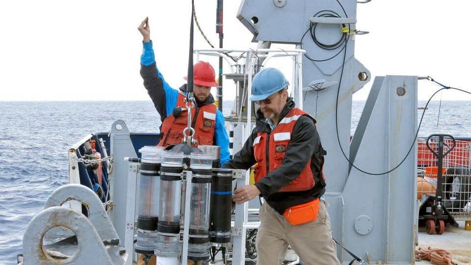Foto: Alyssa Santoro / Woods Hole Oceanographic Institution) Foto: Alyssa Santoro / Woods Hole Oceanographic Institution)