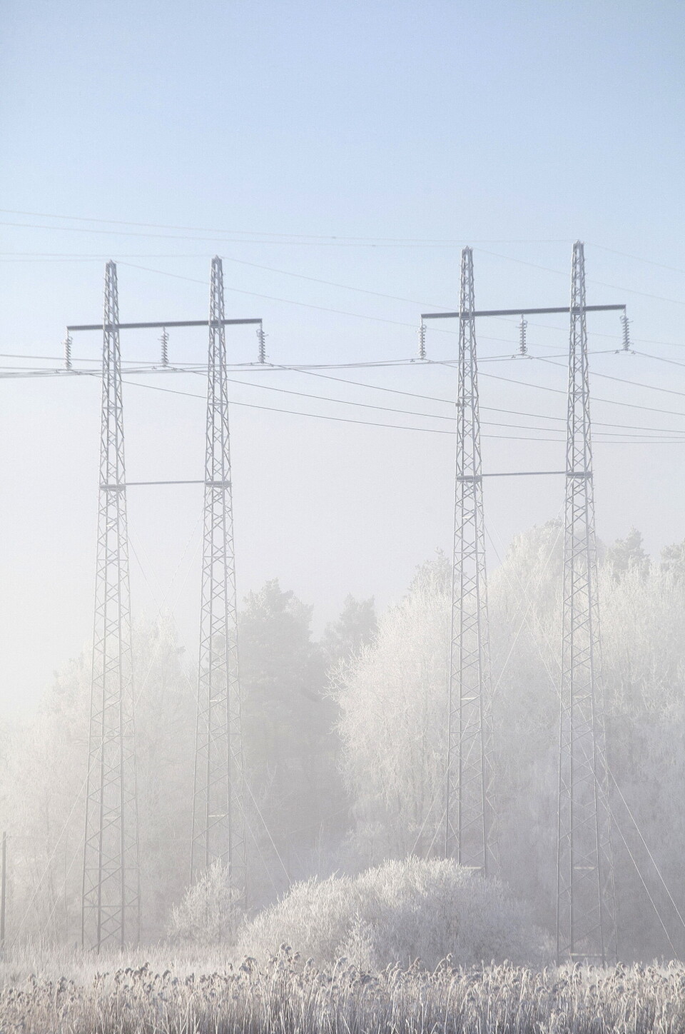 Foto: Anders Good / TT Foto: Anders Good / TT