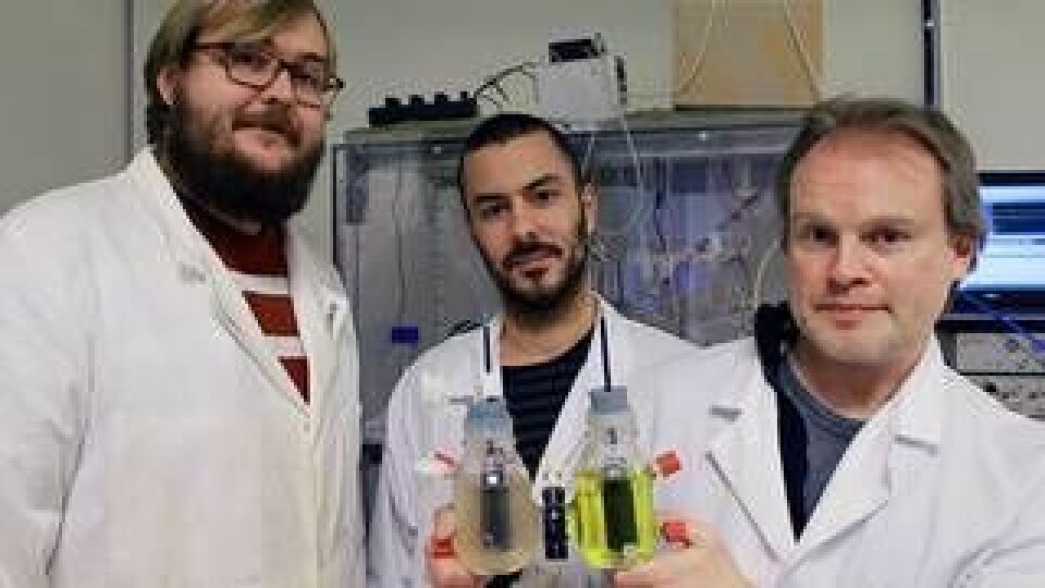 Adolf Kriege, Leonidas Matsakas och Magnus Sjöblom, forskare inom biokemisk processteknik vid Luleå tekniska universitet, framställer elektricitet av matrester. Foto: Luleå tekniska universitet
