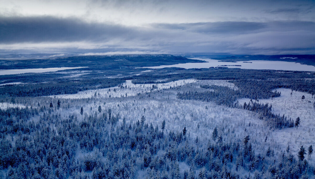 Boewolf Mining Beowulf Mining planerar pipeline från Kallakgruvan