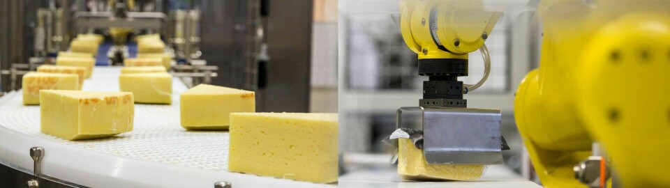 Ostar bitas, skivas och rivs helt automatiserat i ”norra Europas modernaste ostförädlingsanläggning”. Foto: Jan Lindmark, Patrick Djerf/Flexlink