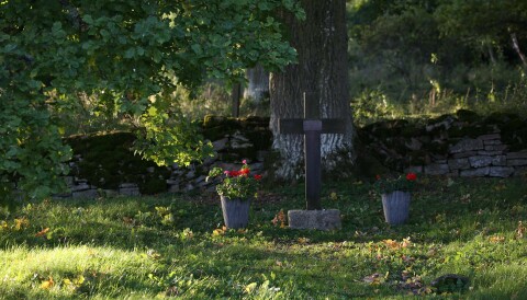 På den lilla kyrkogården i Borghamn vilar cirka 80 soldater ur Disciplinkompaniet som huggit sten i ortens stenbrott, vilket fortfarande är i bruk. Det tunga arbetet i kombination med härjande smittor gjorde att många arbetare dukade under. Foto: MATS KARLSSON