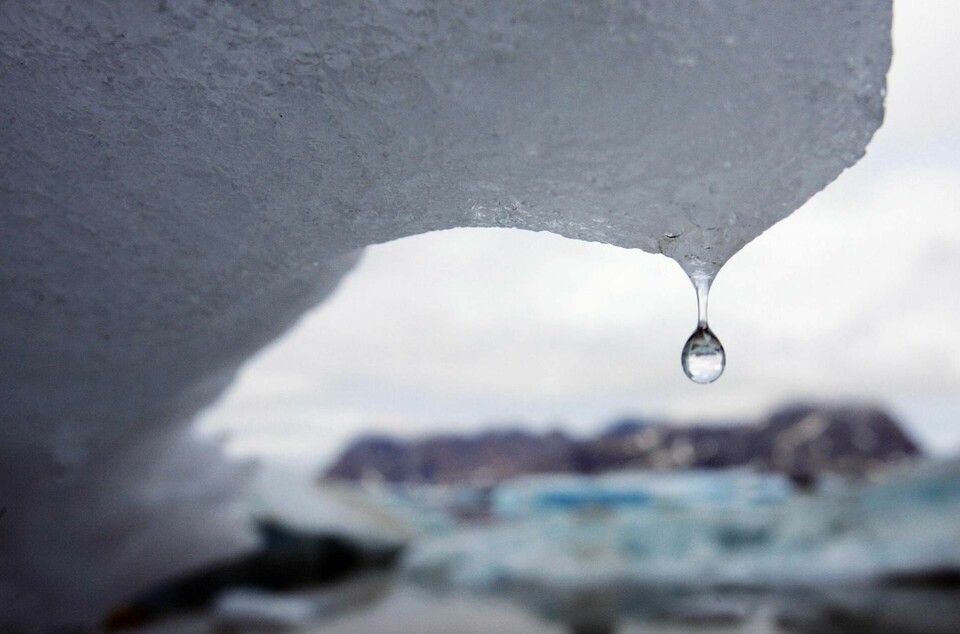 Smältande isberg i östra Grönland. Bild från juli 2007. Foto: AP Photo/John McConnico, File