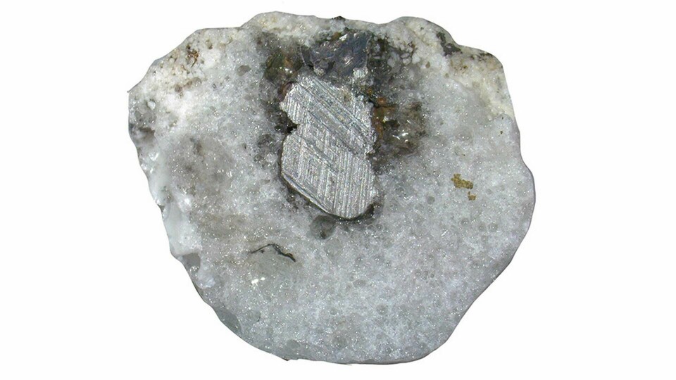 En genomskärning av den hittade fulgurit-biten. Foto: Luca Bindi
