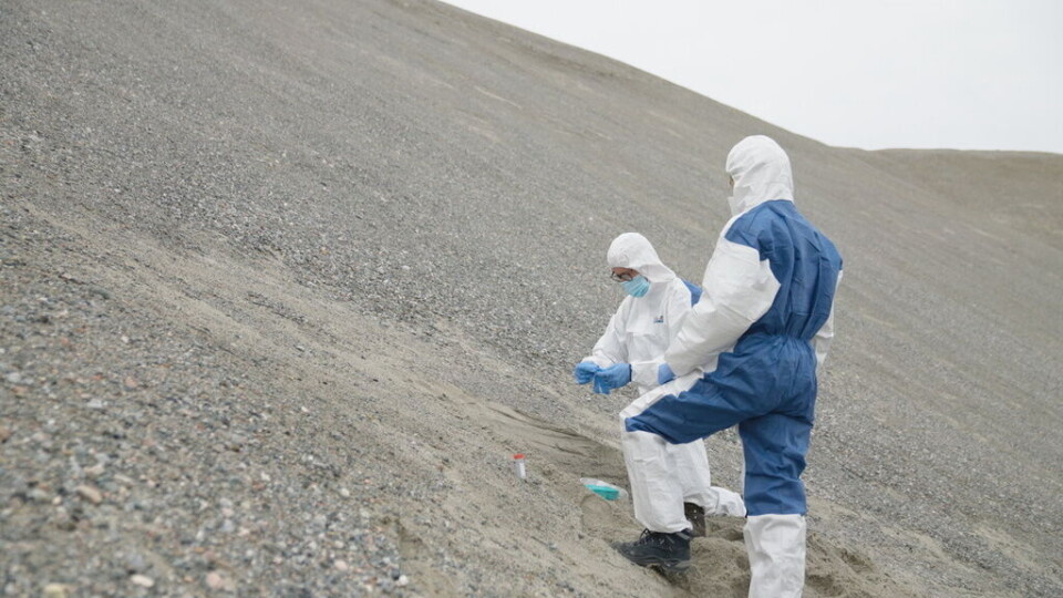 Forskare samlar prover från sediment på Grönland. Genom att rena dna-fragment har de lyckats skissa fram ett helt ekosystem som fanns för två miljoner år sedan. Pressbild. Foto: NOVA, HHMI Tangled Bank Studios & Handful of Films Forskare samlar prover från sediment på Grönland. Genom att rena dna-fragment har de lyckats skissa fram ett helt ekosystem som fanns för två miljoner år sedan. Pressbild. Foto: NOVA, HHMI Tangled Bank Studios & Handful of Films