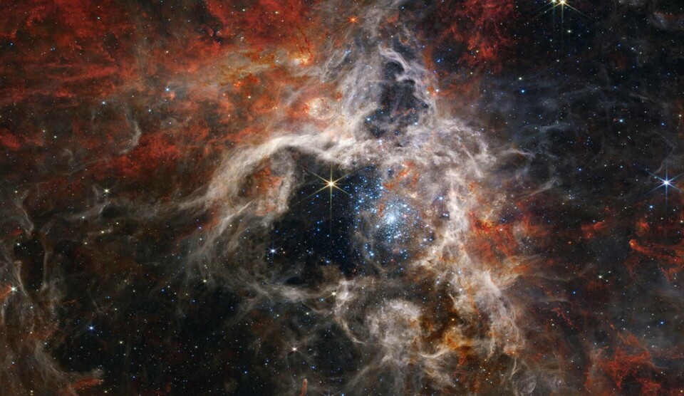 Bilden visar Tarantelnebulosan, fångad av James Webb-teleskopet i september i år. Foto: NASA, ESA, CSA, STScl, and Webb ERO Production Team/AP/TT Bilden visar Tarantelnebulosan, fångad av James Webb-teleskopet i september i år. Foto: NASA, ESA, CSA, STScl, and Webb ERO Production Team/AP/TT