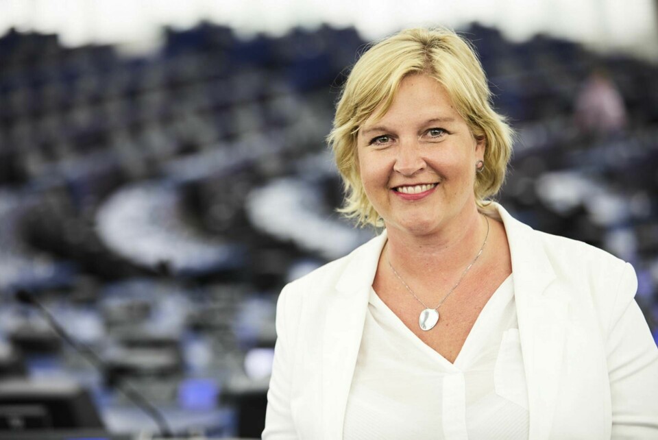 Karin Karlsbro är enda L-ledamot i EU-parlamentet. Arkivfoto. Foto: Fredrik Persson / TT